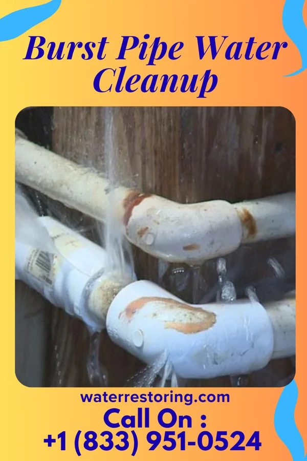 Burst Pipe Water Cleanup in Kemp, OK