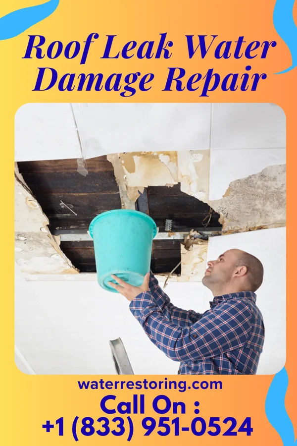 Roof Leak Water Damage Repair in Kemp, OK